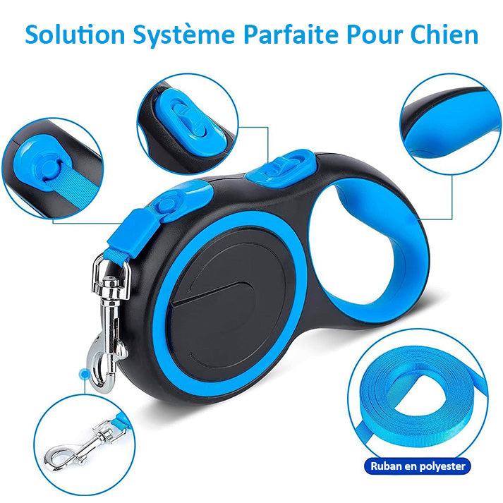 Laisse Chien, Enrouleur, Extensible, Rétractable, Laisse Flexible de Dressage et de Promenade, pour Petits, Moyens et Grands Chiens (Bleu, 8 Mètres)