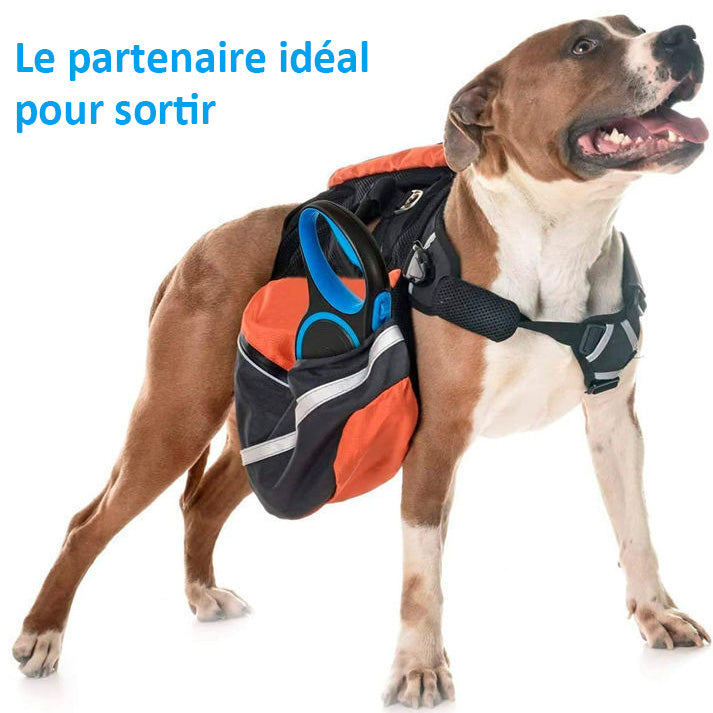 Laisse Chien, Enrouleur, Extensible, Rétractable, Laisse Flexible de Dressage et de Promenade, pour Petits, Moyens et Grands Chiens,5 et 8 Mètres