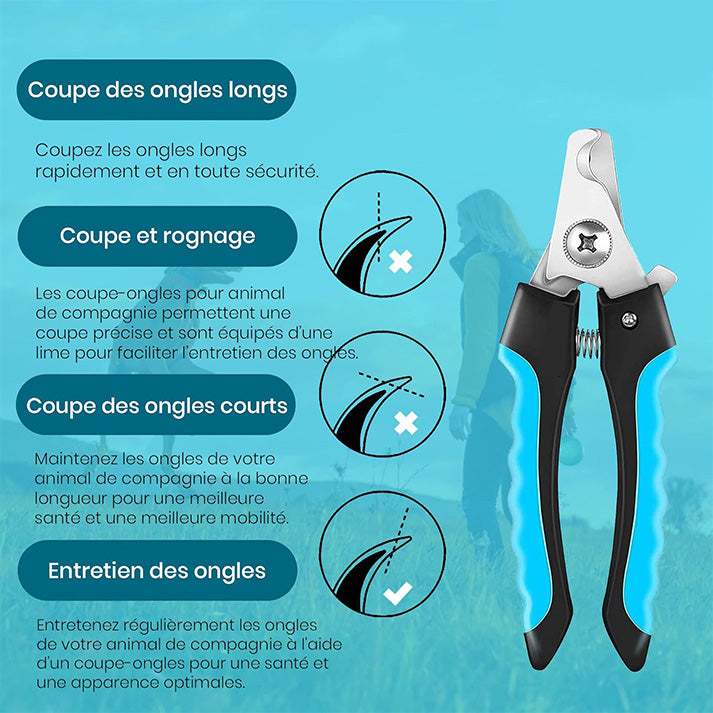 Coupe Ongles Chien Pour Coupe Griffes Chien Et Coupe Ongle Chat- Acier Inoxydable Chien Toilettage Coupe Ongles Pour Animaux De Compagnie