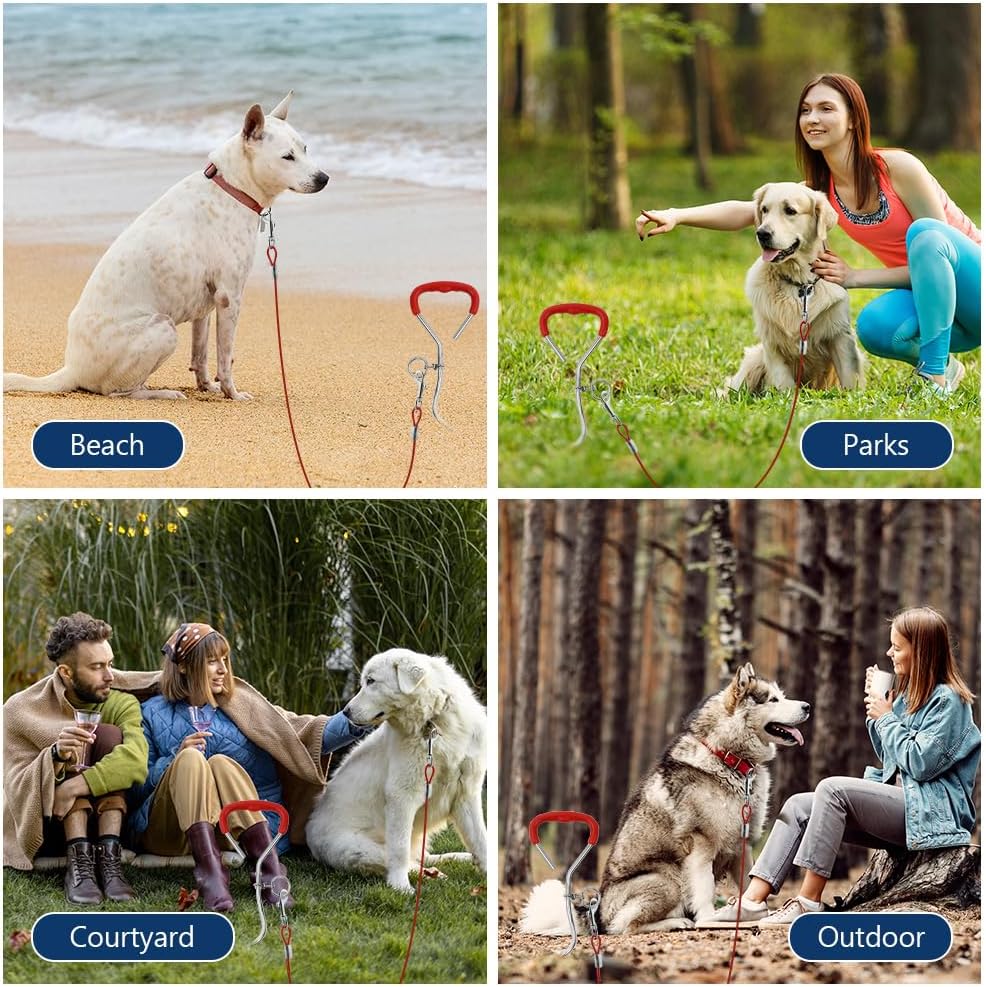 Piquet Ancrage Spirale Attache Longe Chien, Laisses d'attache Robuste pour Chien, Piquets d'attache Trousse pour Chiens avec Piquet et 6m Câbles d'attache pour Chien pour Cour, Jardin, Camping