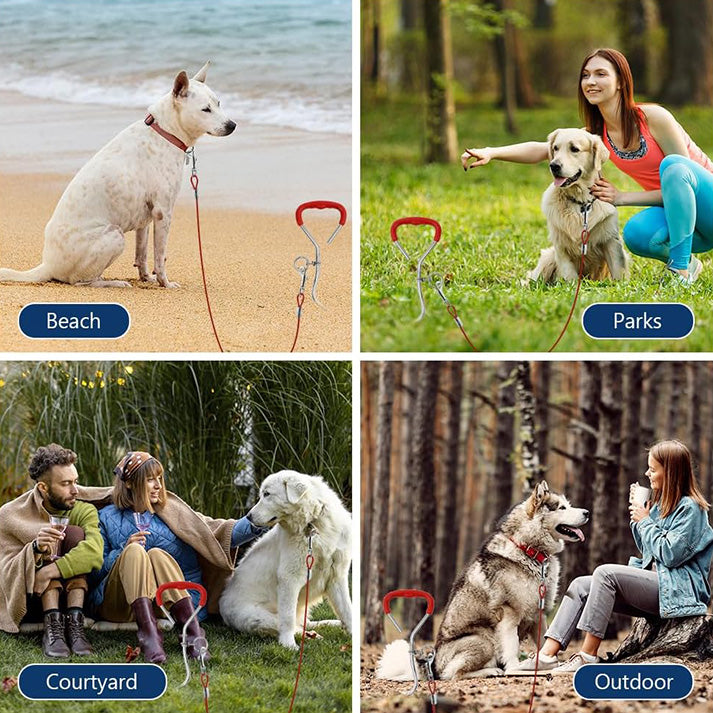 Piquet Ancrage Spirale Attache Longe Chien, Laisses d'attache Robuste pour Chien, Piquets d'attache Trousse pour Chiens avec Piquet et 6m Câbles d'attache pour Chien pour Cour, Jardin, Camping
