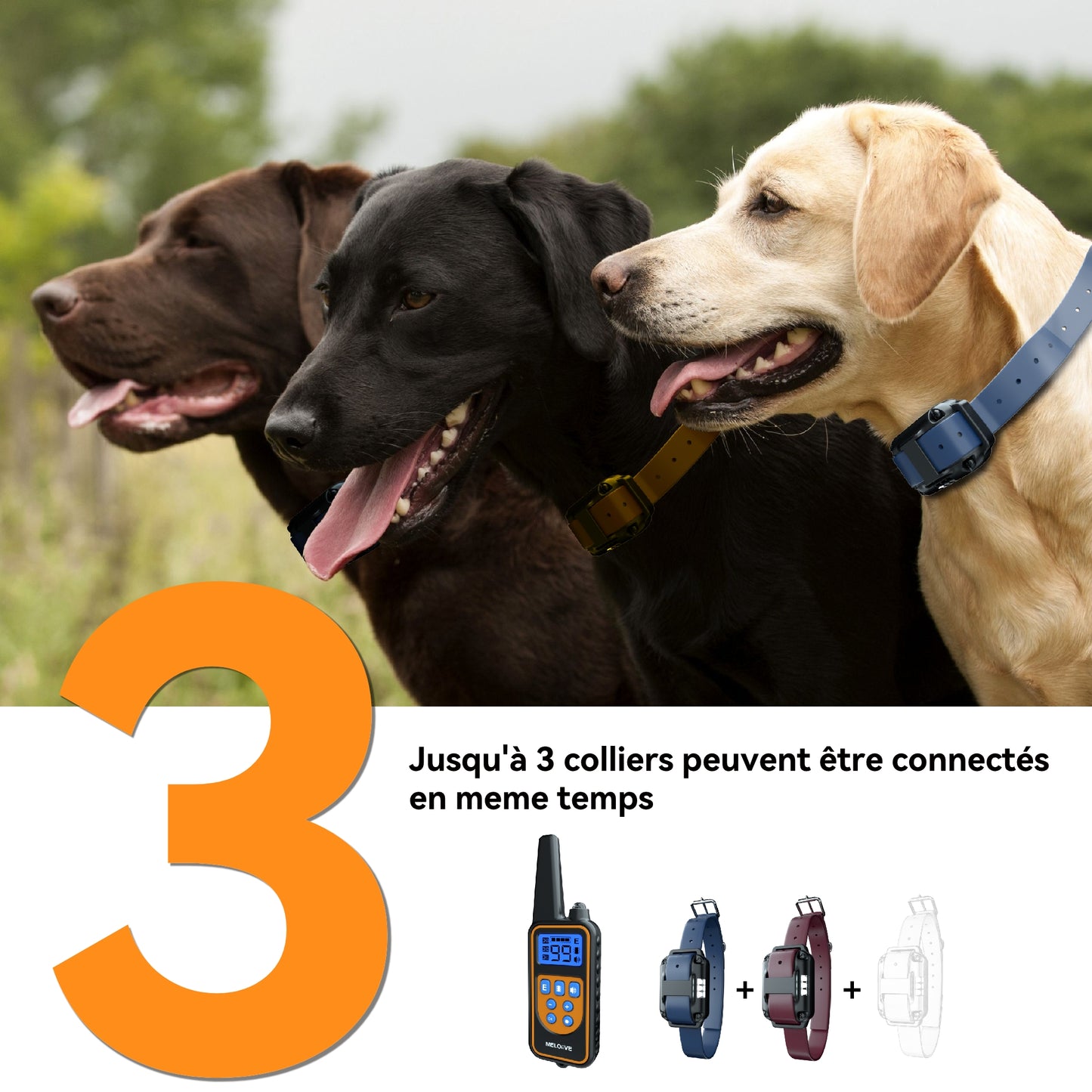 Training Collar--Shock Collar--800 Meter Range-MR001-2