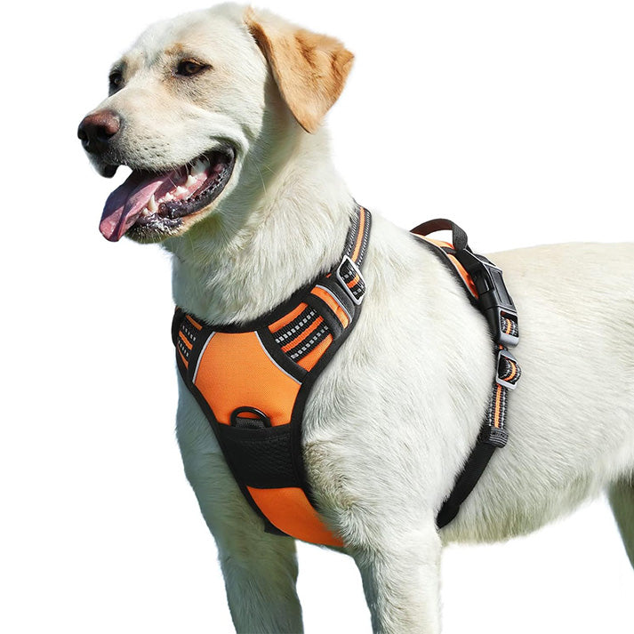Harnais Chien, Harnais Anti Traction pour Chien Réfléchissant Réglable, Facile à Mettre, avec Poignée Contrôle, Arnet pour Chiens Solide Respirant, Harnet pour Chiens Moyen et Grand, L