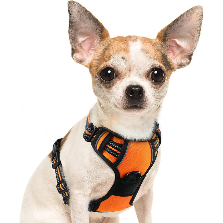 Harnais Chien, Harnais Anti Traction Réfléchissant pour Petit Chien Réglable, Facile à Mettre, Arnet pour Chien pour Randonnée Trajet Respirant Solide, avec Poignée Contrôle, S
