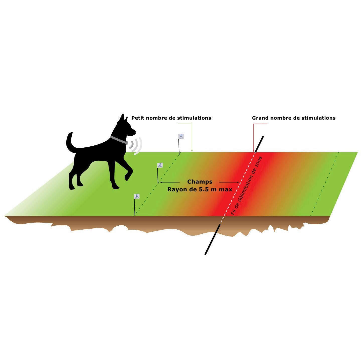 Système de Clôture Anti-fugue avec Fil pour Chiens - Système De Clôture avec Un Collier Rechargeable Et Une Clôture Complete (GAF004)