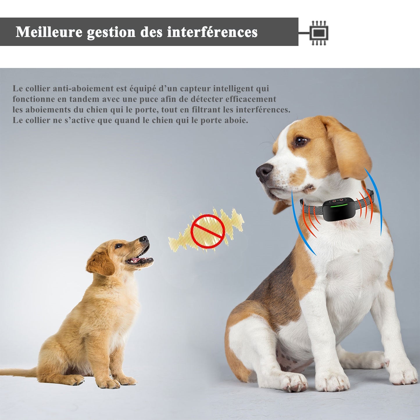 Collier Anti Aboiement Chien Automatique,Collier Choc-GNABT8008