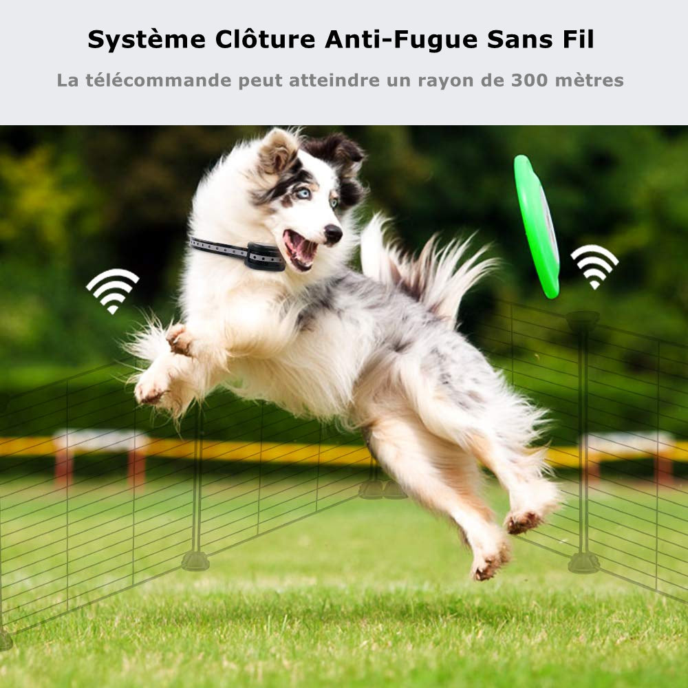 Système Clôture Anti-Fugue Sans Fil avec un Collier Imperméable-Clôture Sans Fil-Clôture pour Chien(GAF002)