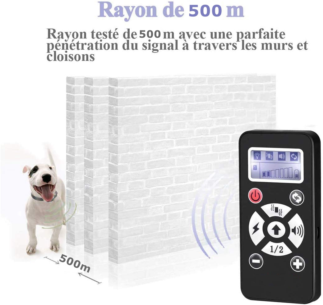 Contrôle Manuel Portée 500 Mètres