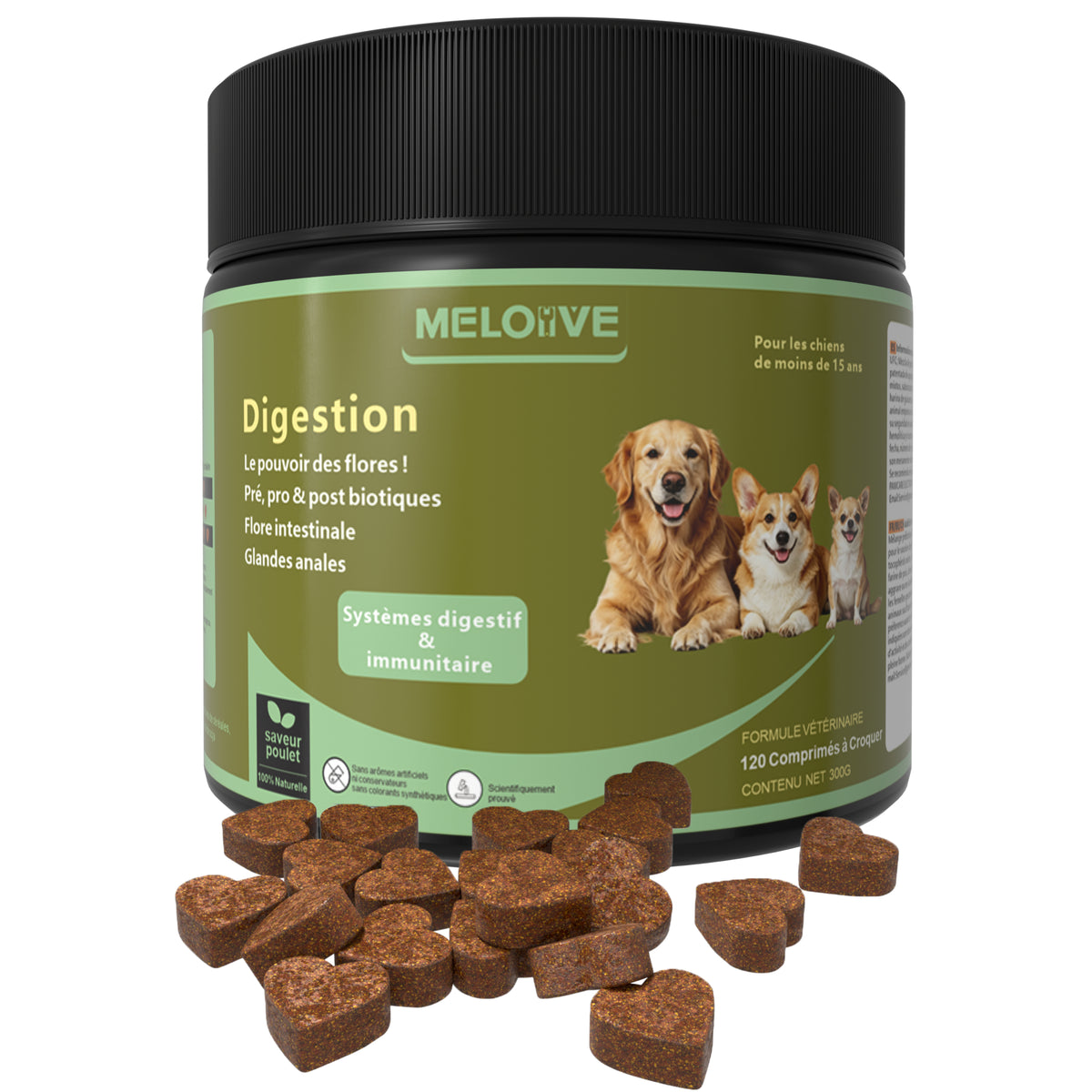 Probiotiques pour Chien, Flore Intestinale Renforcée Anti-Diarrhée