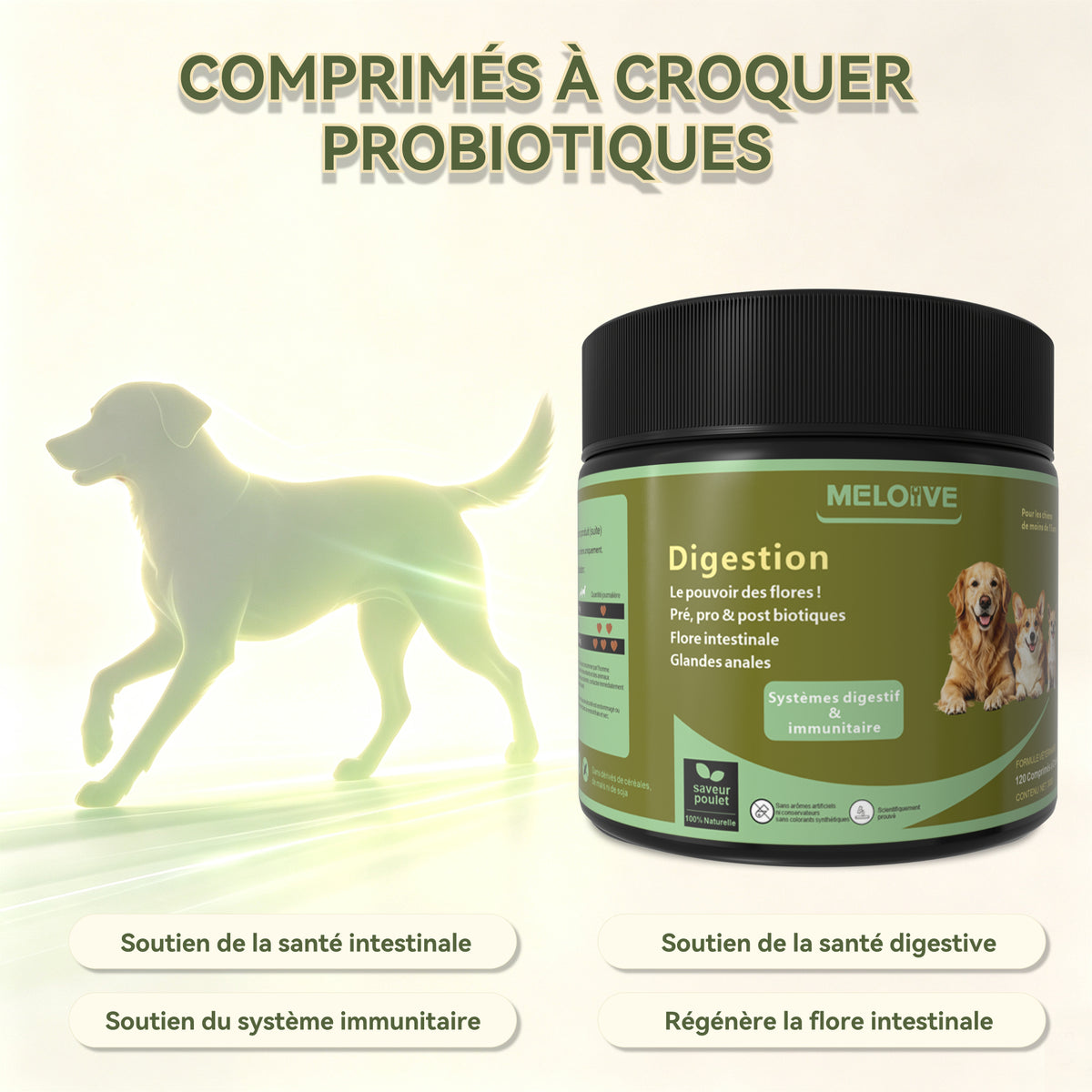 Probiotiques pour Chien, Flore Intestinale Renforcée Anti-Diarrhée