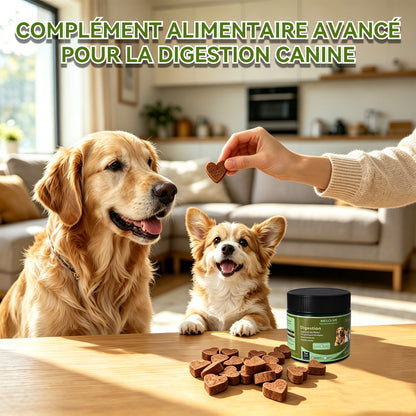 Probiotiques pour Chien, Flore Intestinale Renforcée Anti-Diarrhée