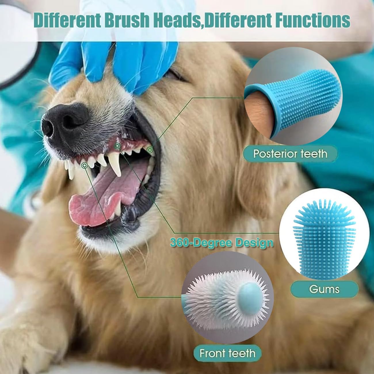 Brosse à Dent Chien, 360° Brosses à Doigts pour Animaux, Rafraîchit l'Haleine & Élimine la Plaque Dentaire, Pour le Nettoyage et le Soin des Dents, Chien Accessoires, Lot de 5 (Bleu)