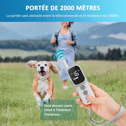Training Collar--Shock Collar--2000 Meter Range-HC92 