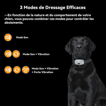 Collier Anti Aboiement Chien Automatique,Collier Vibrant,Blanc-B658W