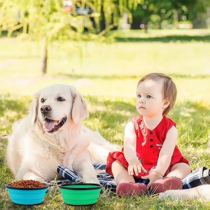 Gamelles Pliables avec Couvercle Chiennes Bols d'Eau pour Chien Voyage Bols pour Chat et Chiens Hauteur du Bols Peut Ajustée Léger Protable pour Marche Randonnée Camping(Grand,1000ml)