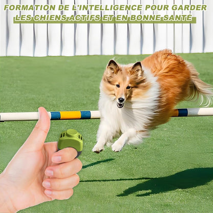 Lot de 2 clickers pour Chien (19 mm/21 mm) en Vert Herbe et Gris – Accessoire de Dressage Pratique pour Chien comme clicker Anneau pour Chien pour l'entraînement des Chiens
