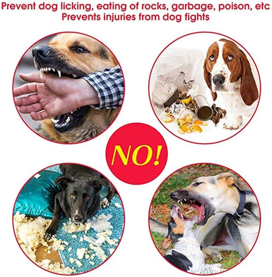 Muselière Souple Réglable pour Chiens en Nylon - Anti-Aboiement et Anti-Morsure - pour Petits et Moyens Chiens, Noir