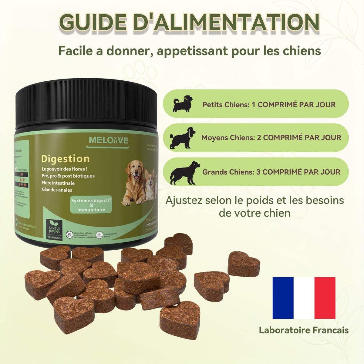Probiotiques pour Chien, Flore Intestinale Renforcée Anti-Diarrhée