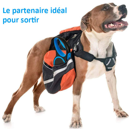 Laisse Chien, Enrouleur, Extensible, Rétractable, Laisse Flexible de Dressage et de Promenade, pour Petits, Moyens et Grands Chiens (Bleu, 8 Mètres)