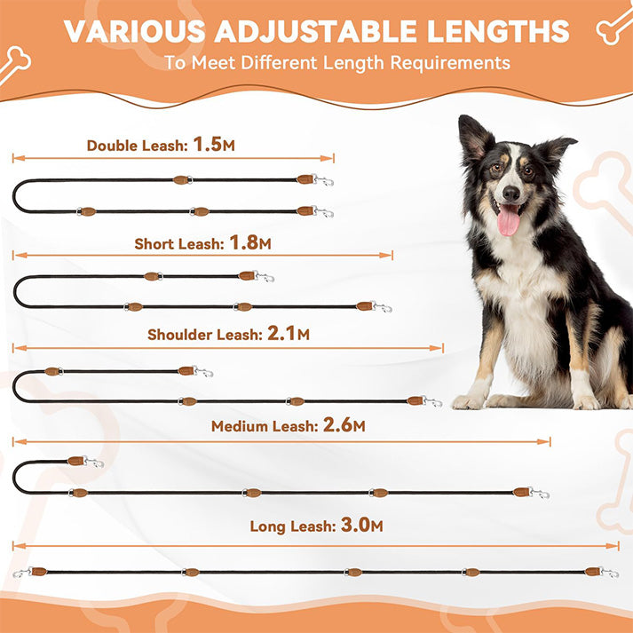 Laisse Réglable 3 m, Laisse Multifonctionnelle 3 Points Robuste pour 2 Chien, Longe pour Chien de Petite à Grande Taille pour Promenade, Dressage, Entraînement
