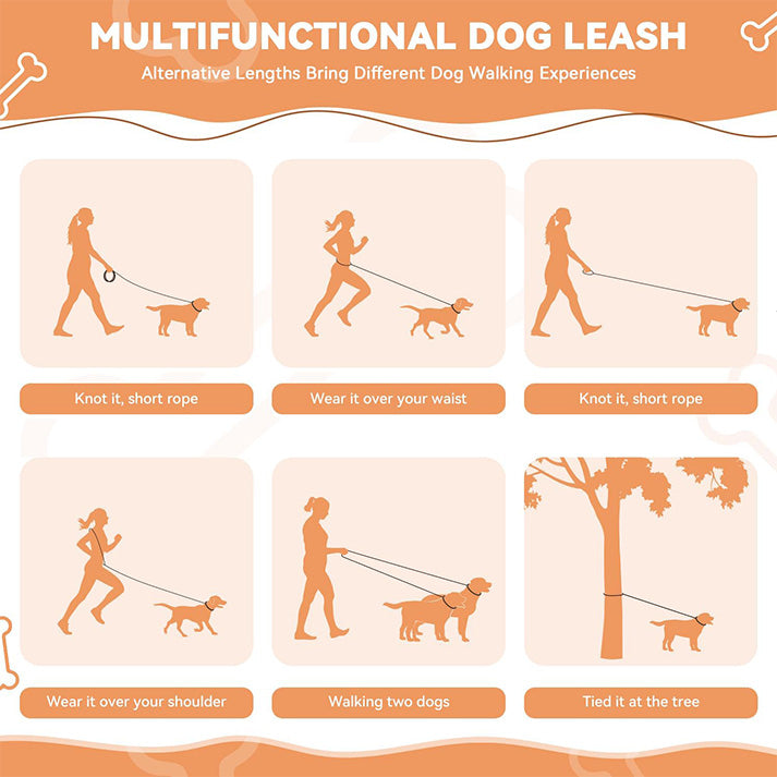 Laisse Réglable 3 m, Laisse Multifonctionnelle 3 Points Robuste pour 2 Chien, Longe pour Chien de Petite à Grande Taille pour Promenade, Dressage, Entraînement