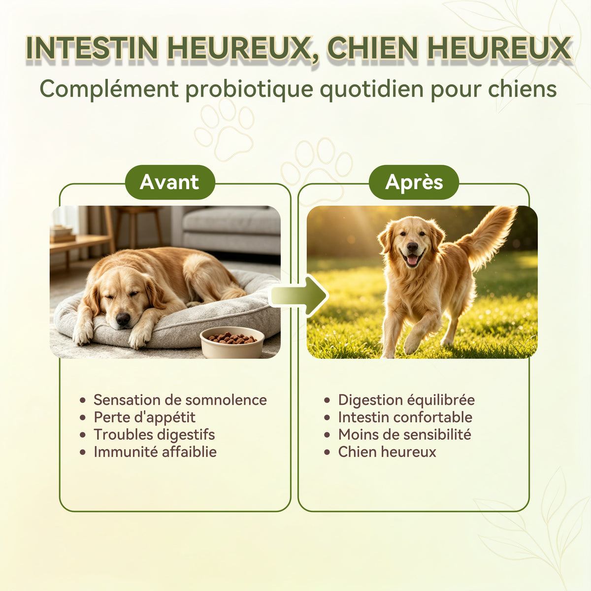Probiotiques pour Chien, Flore Intestinale Renforcée Anti-Diarrhée