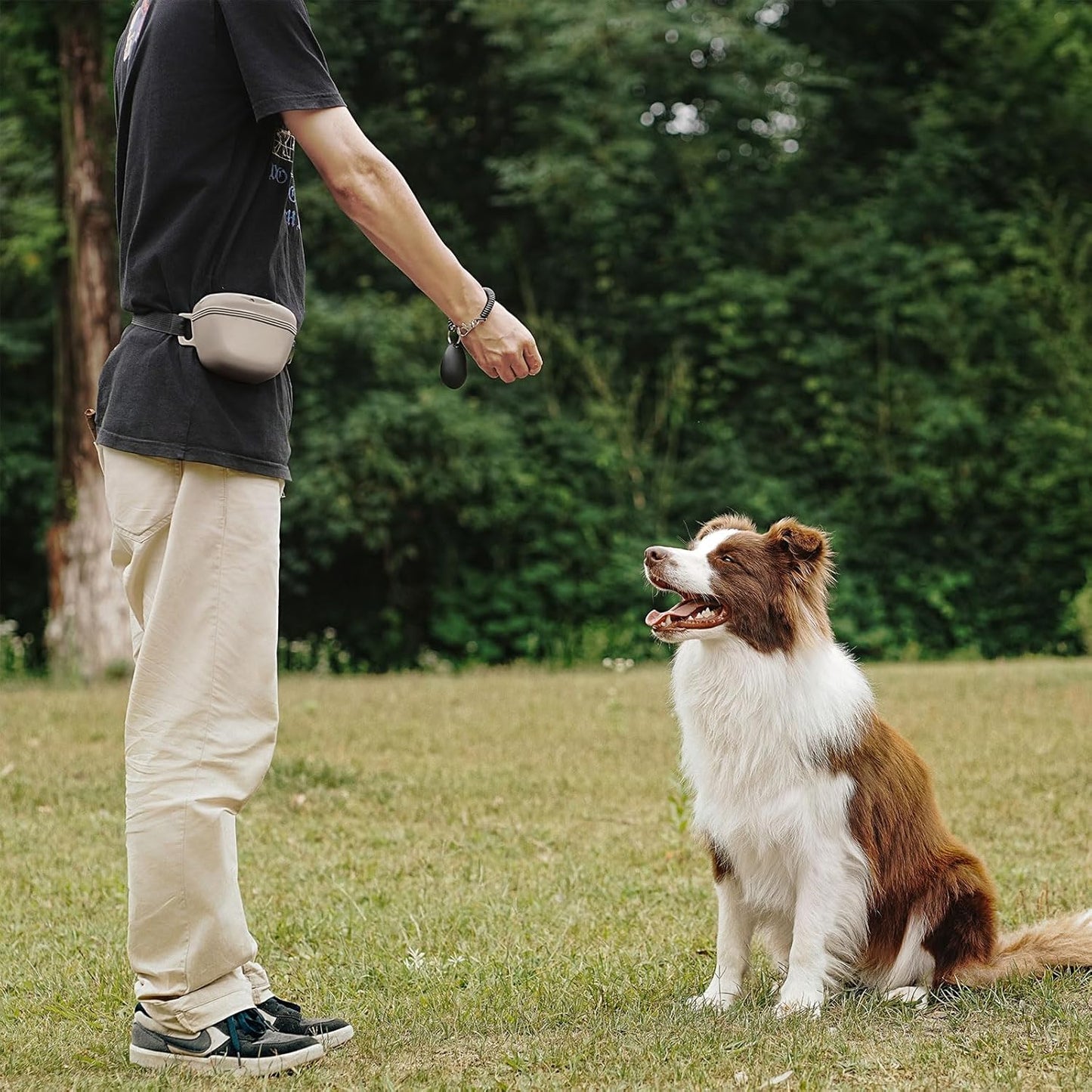 Pochette de dressage pour animaux de compagnie avec fermeture magnétique clicker 2.0 améliorée, ceinture en silicone de 1,66 tasse pour friandises pour chien, parfaite pour l'exercice et la