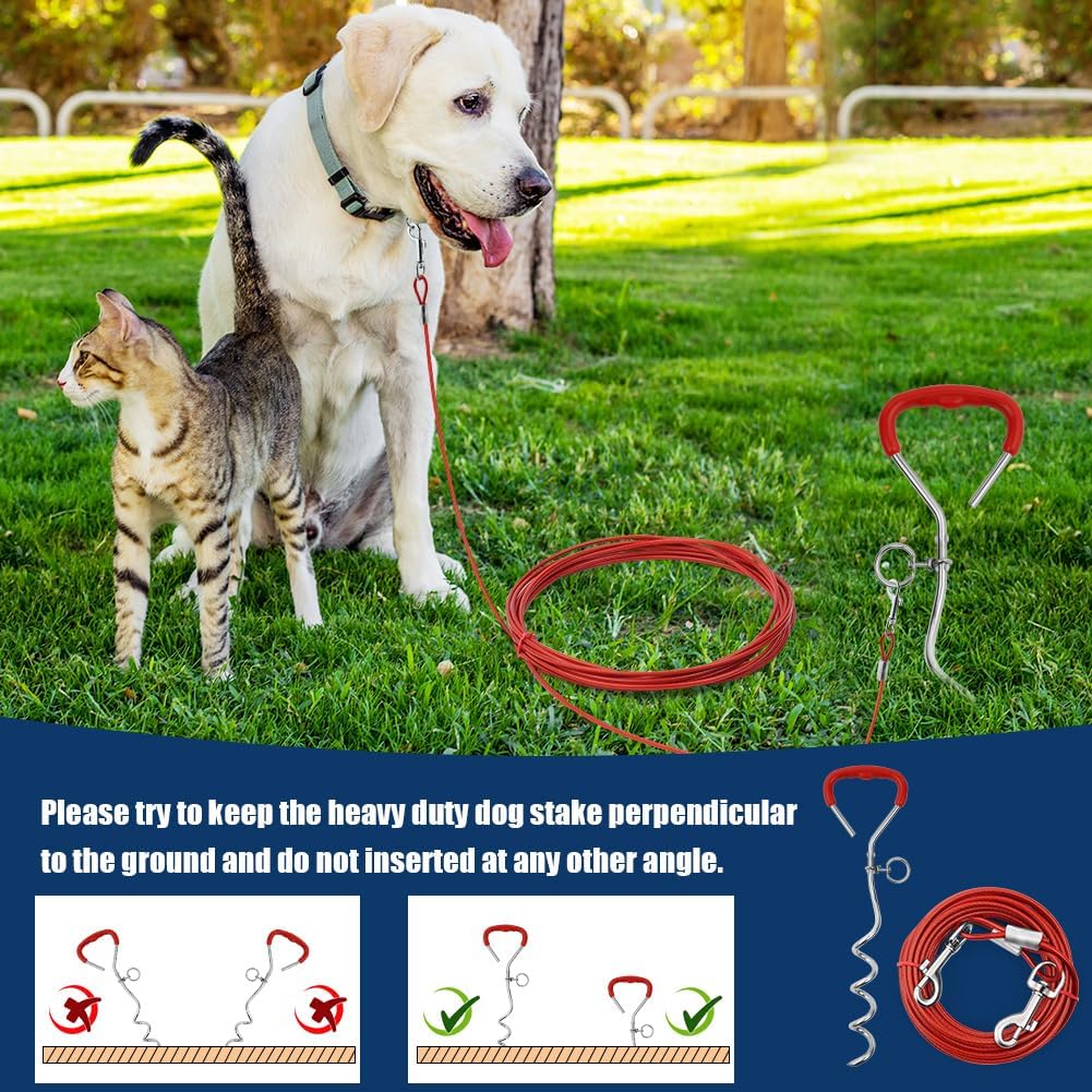 Piquet Ancrage Spirale Attache Longe Chien, Laisses d'attache Robuste pour Chien, Piquets d'attache Trousse pour Chiens avec Piquet et 6m Câbles d'attache pour Chien pour Cour, Jardin, Camping
