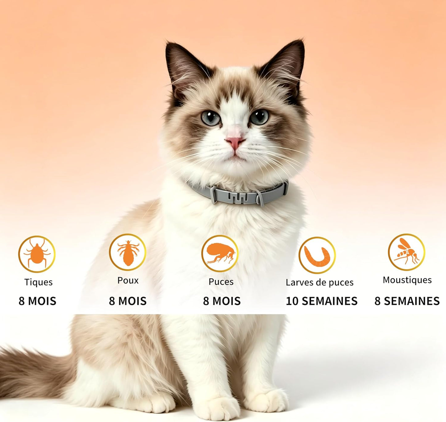Flea and Tick Collar for Dogs and Cats, Prevention Against Ticks and Fleas for 8 Months, Natural Formula (38cm) 