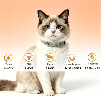 Flea and Tick Collar for Dogs and Cats, Prevention Against Ticks and Fleas for 8 Months, Natural Formula (38cm) 