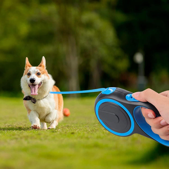 Laisse Chien, Enrouleur, Extensible, Rétractable, Laisse Flexible de Dressage et de Promenade, pour Petits, Moyens et Grands Chiens (Bleu, 8 Mètres)