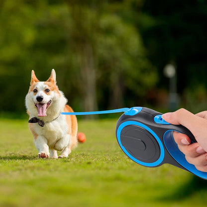 Laisse Chien, Enrouleur, Extensible, Rétractable, Laisse Flexible de Dressage et de Promenade, pour Petits, Moyens et Grands Chiens (Bleu, 8 Mètres)