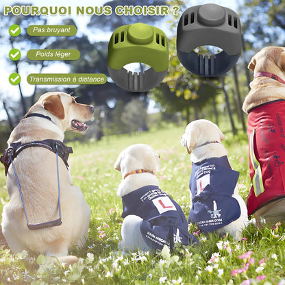 Lot de 2 clickers pour Chien (19 mm/21 mm) en Vert Herbe et Gris – Accessoire de Dressage Pratique pour Chien comme clicker Anneau pour Chien pour l'entraînement des Chiens