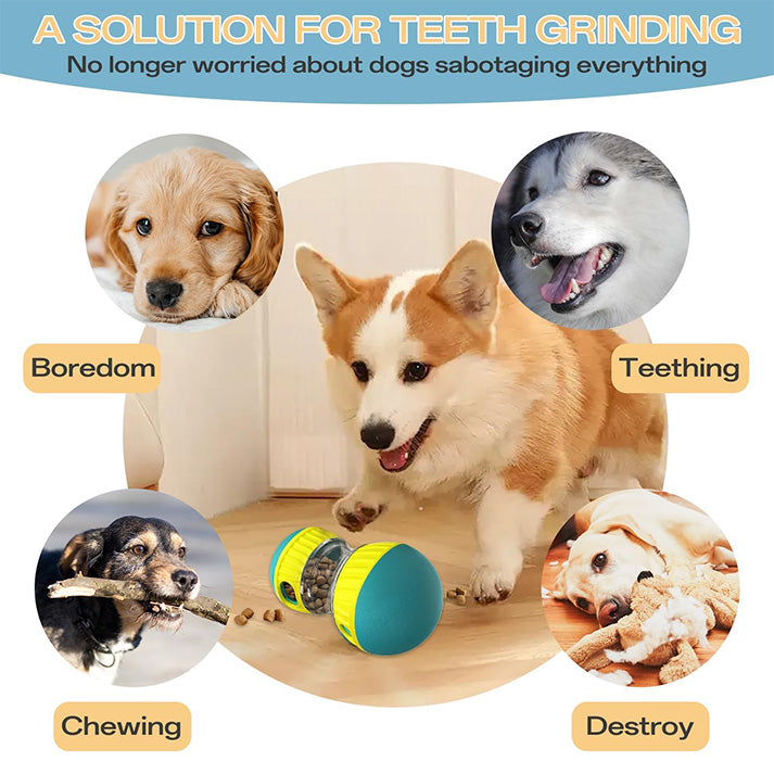 Jouet Chien Occupation, Slow Feeder pour Chiens, Distributeur de Croquettes pour Chiens Jouets, Améliore La Digestion, pour Tout Type de Chien