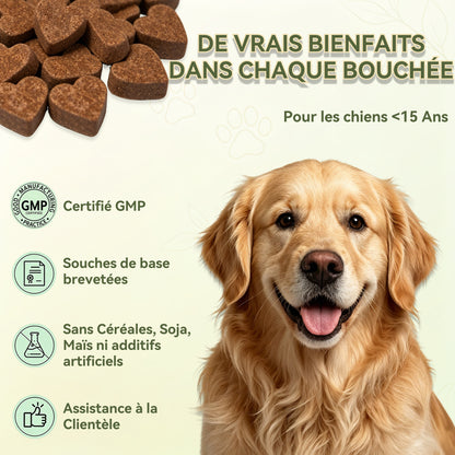 Probiotiques pour Chien, Flore Intestinale Renforcée Anti-Diarrhée