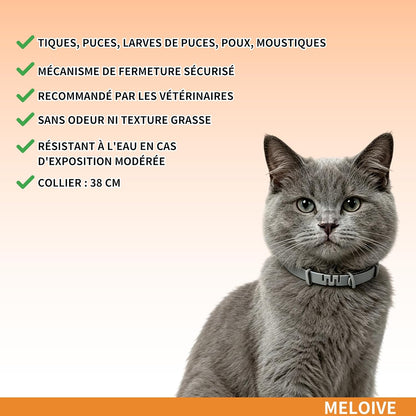 Flea and Tick Collar for Dogs and Cats, Prevention Against Ticks and Fleas for 8 Months, Natural Formula (38cm) 