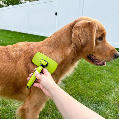 Brosse Chien Poil Long Court, Grande Brosse Chat, Enlèvement des Poils en Un Clic, Brosse pour Chien Élimine Jusqu'à 95% des Poils Morts Et des Peluches, pour Le Toilettage, Vert