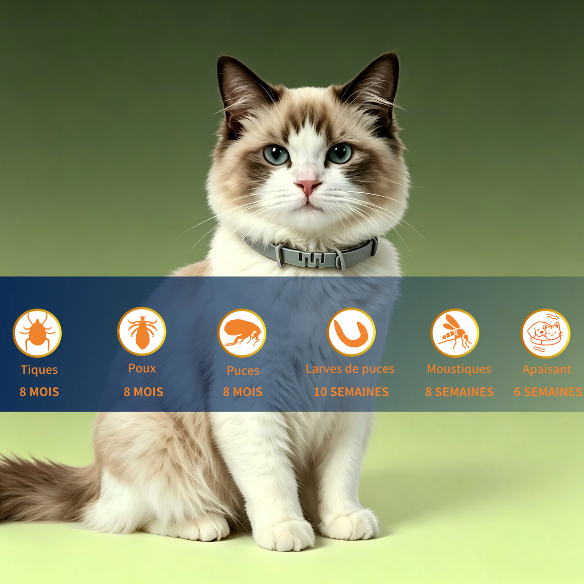Collier Apaisant Anti‑Puces et Tiques pour Chat, Traitement Naturel,Jusqu'à 8 Mois de Prévention Puces et Tiques, Soutien Apaisant Contre Stress et Comportements Indésirables, Taille Ajustable