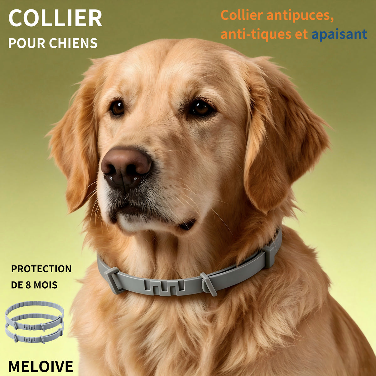 Collier Apaisant Anti‑Puces et Tiques pour Chien,Traitement Naturel,Jusqu'à 8 Mois de Prévention Puces et Tiques, Soutien Apaisant Contre Stress et Comportements Indésirables, Taille Ajustable