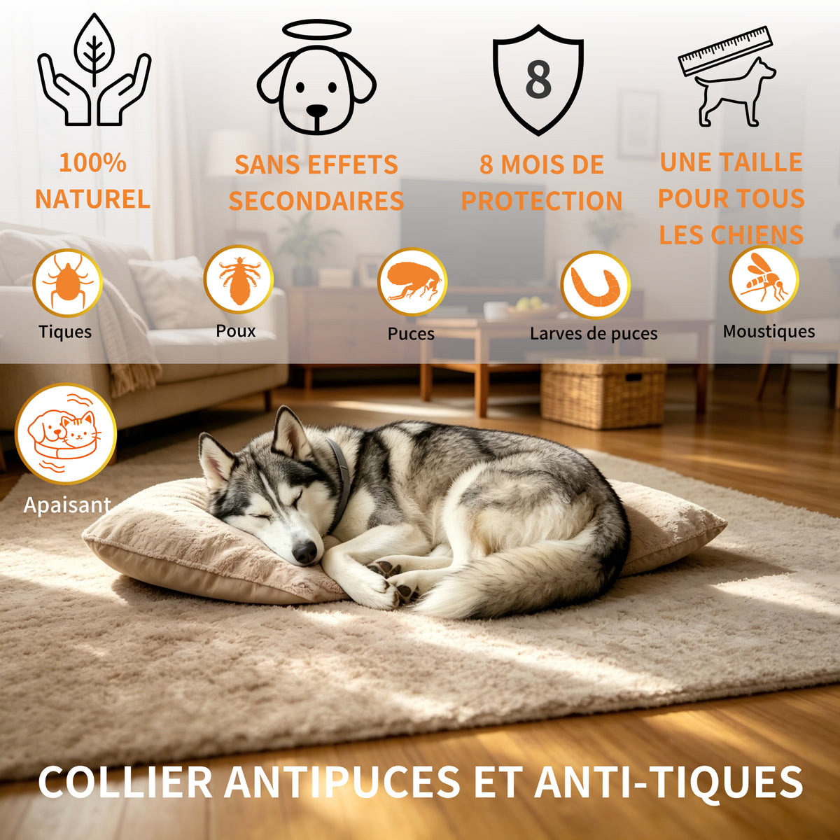 Collier Apaisant Anti‑Puces et Tiques pour Chien,Traitement Naturel,Jusqu'à 8 Mois de Prévention Puces et Tiques, Soutien Apaisant Contre Stress et Comportements Indésirables, Taille Ajustable