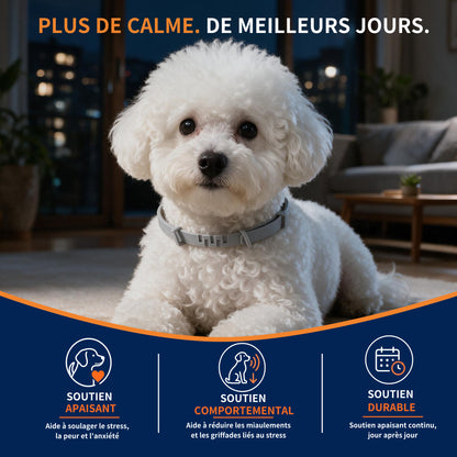 Collier Apaisant Anti‑Puces et Tiques pour Chien,Traitement Naturel,Jusqu'à 8 Mois de Prévention Puces et Tiques, Soutien Apaisant Contre Stress et Comportements Indésirables, Taille Ajustable