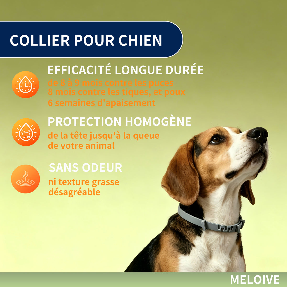Collier Apaisant Anti‑Puces et Tiques pour Chien,Traitement Naturel,Jusqu'à 8 Mois de Prévention Puces et Tiques, Soutien Apaisant Contre Stress et Comportements Indésirables, Taille Ajustable