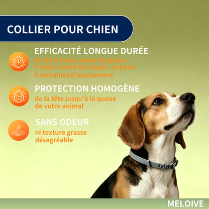 Collier Apaisant Anti‑Puces et Tiques pour Chien,Traitement Naturel,Jusqu'à 8 Mois de Prévention Puces et Tiques, Soutien Apaisant Contre Stress et Comportements Indésirables, Taille Ajustable