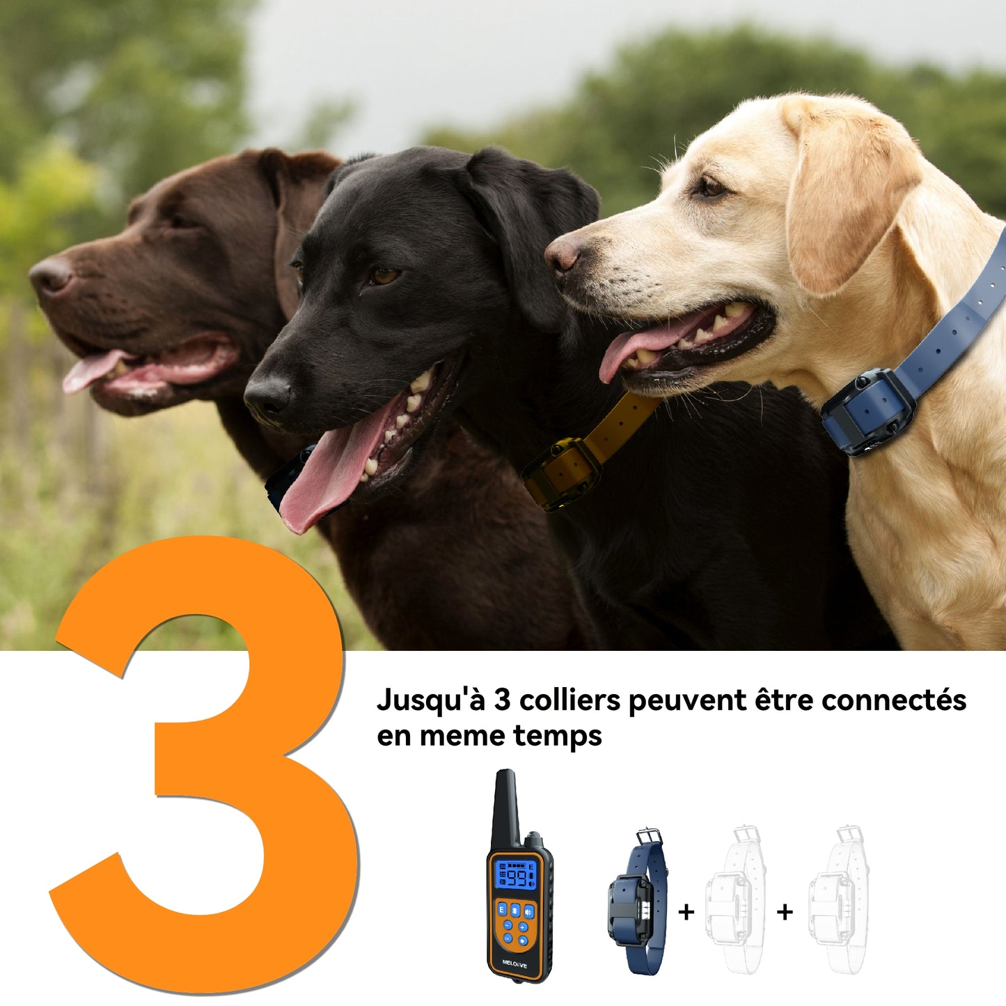 Training Collar--Shock Collar--800 Meter Range-MR001