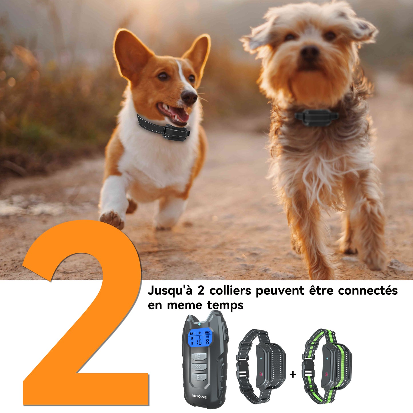 Training Collar--Shock Collar--400 Meter Range--GDT101-2
