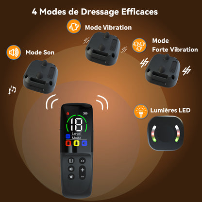 Training Collar--Vibrating Collar--2500 Meter Range-BD14T 
