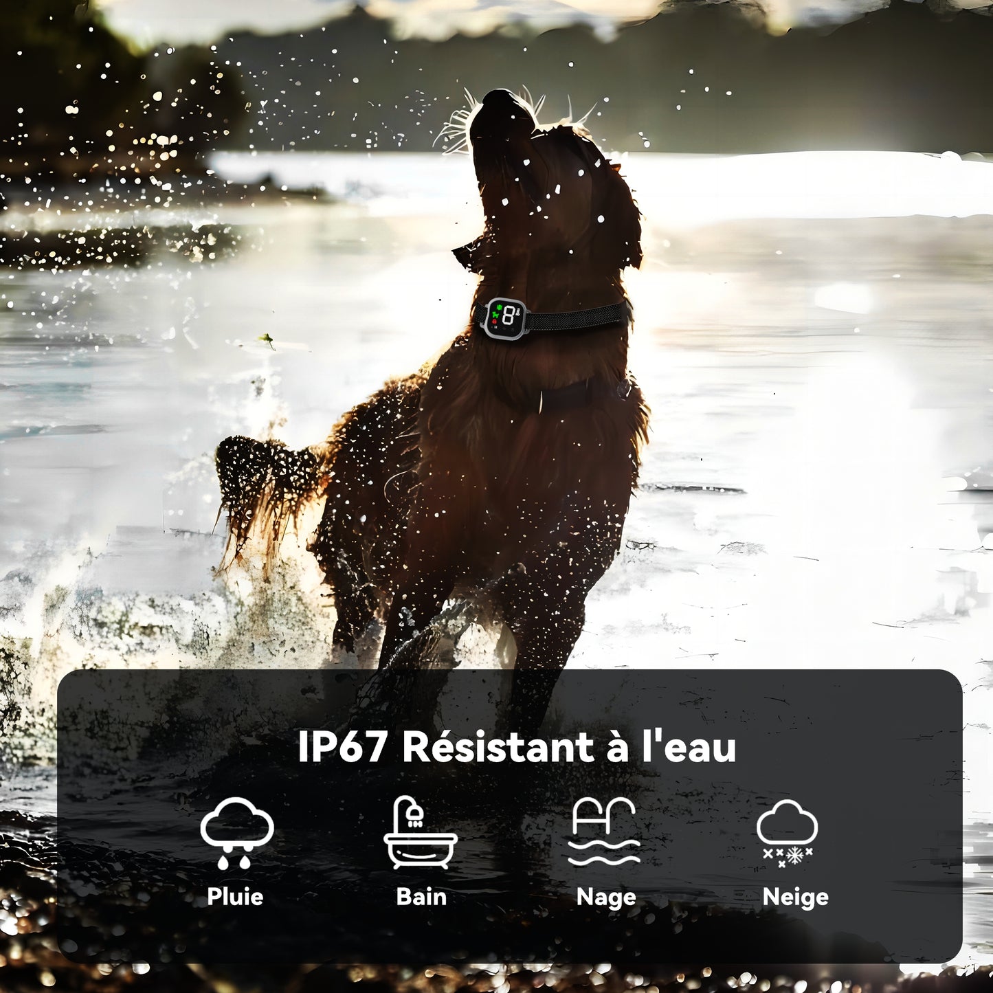 Automatic Anti Bark Dog Collar, Shock Collar-MD23T