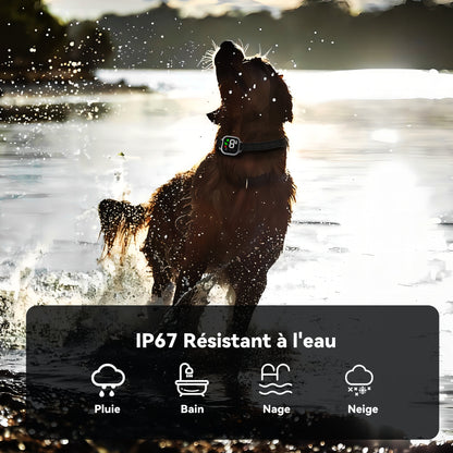 Automatic Anti Bark Dog Collar, Shock Collar-MD23T