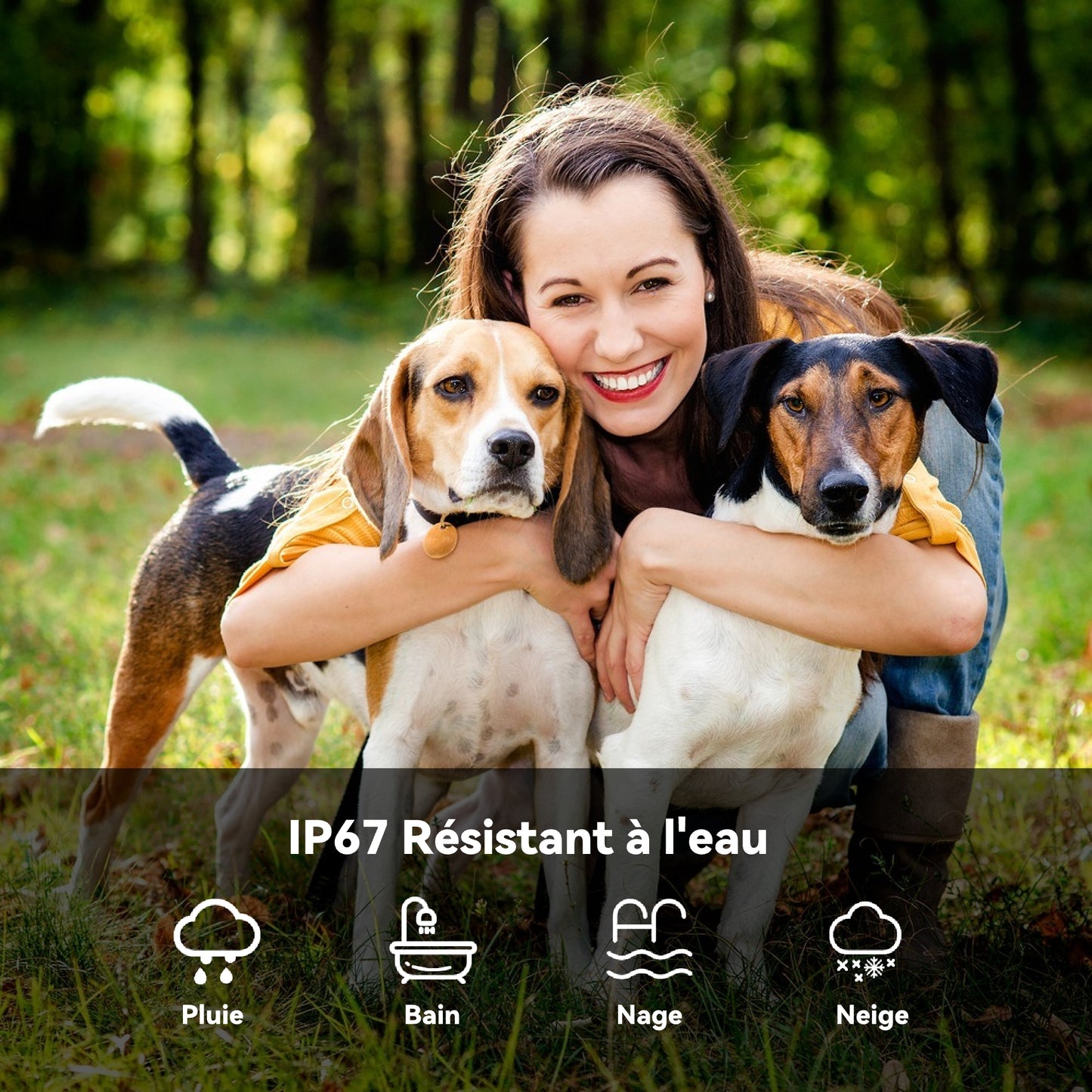 Collier Anti Aboiement Chien Automatique,Collier Choc,Lot de 2