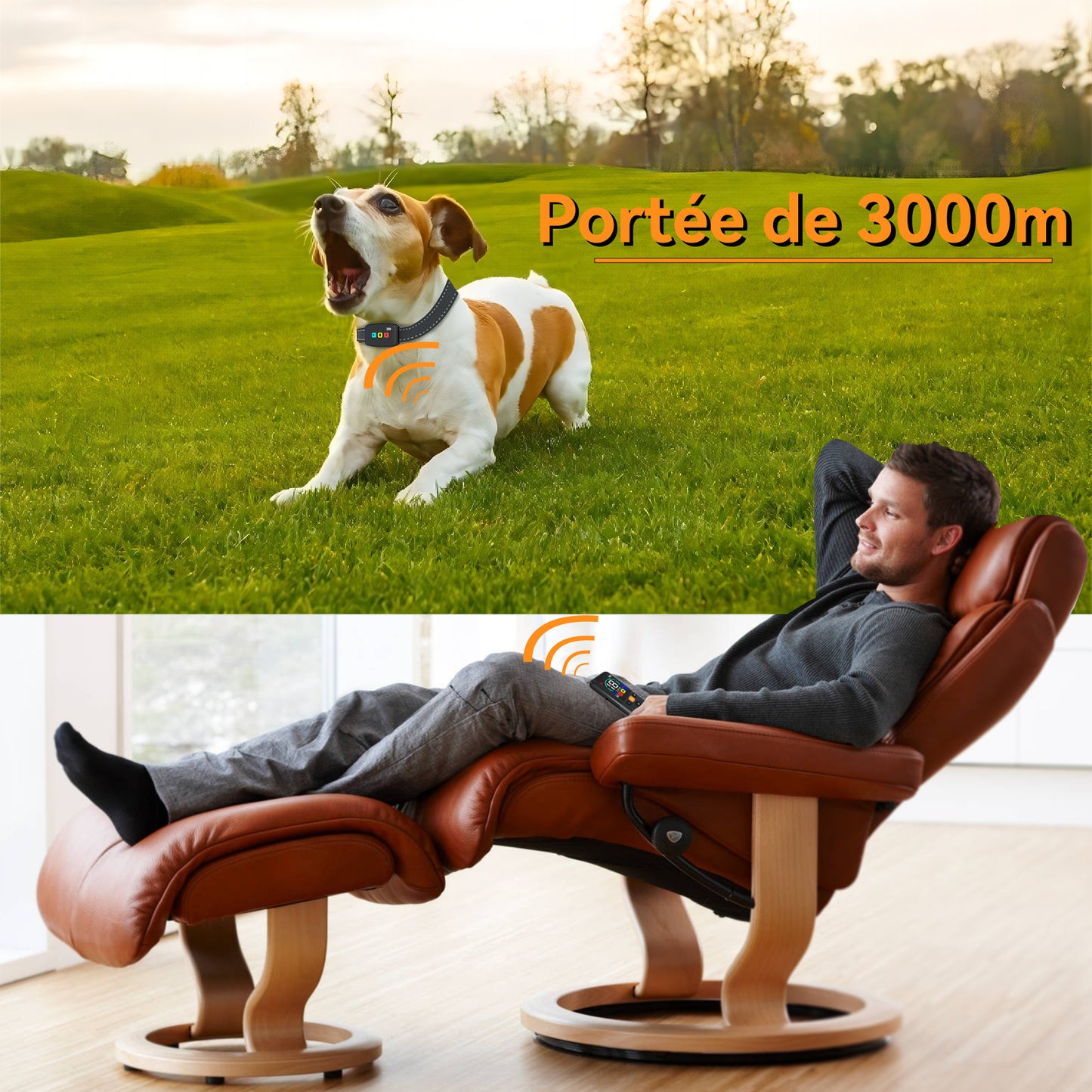 Collier de Dressage--Collier Choc--Portée de 3000 Mètres-MD26T